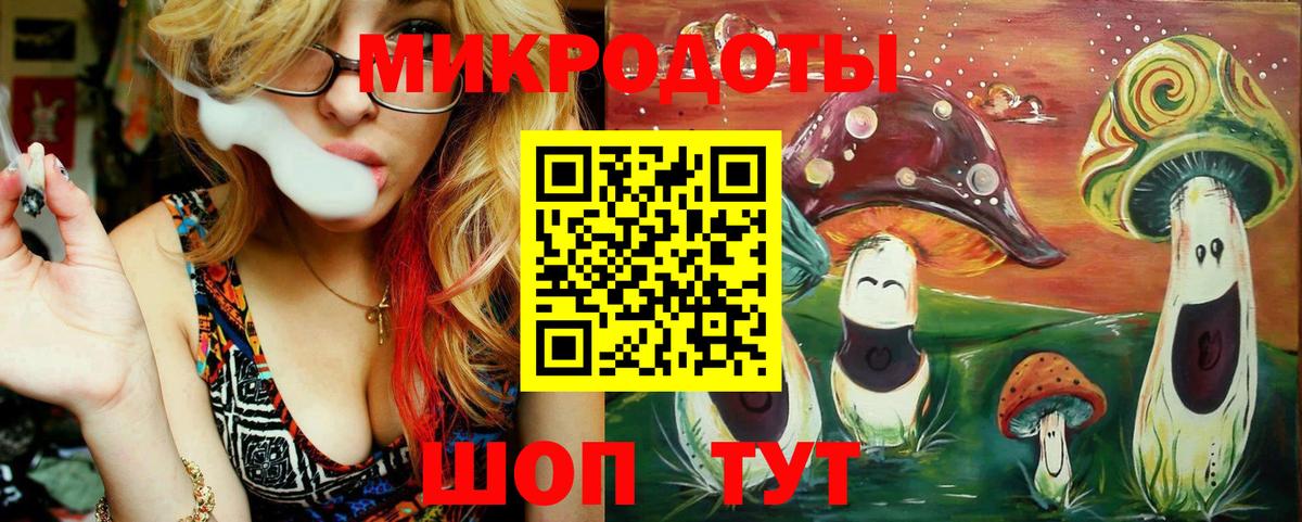 Галлюциногенные грибы Psilocybe Коркино